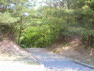 entrance to path