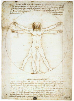 ダ・ヴィンチのウィトルウィウス的人体図と黄金比
