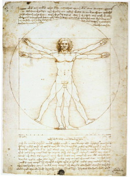 vitruvian man action figure