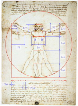 Da vinci's perfect man deals