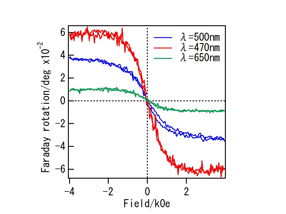 fig1A.jpg
