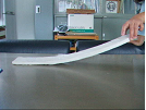 fig1b.png