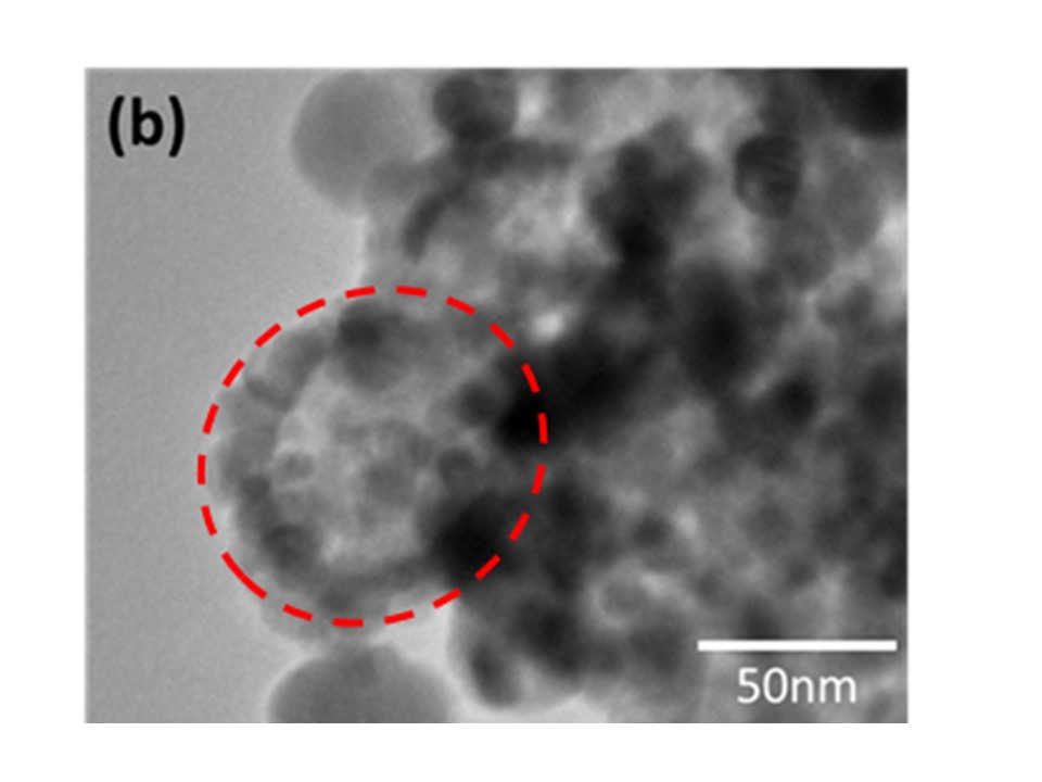 fig2A.jpg